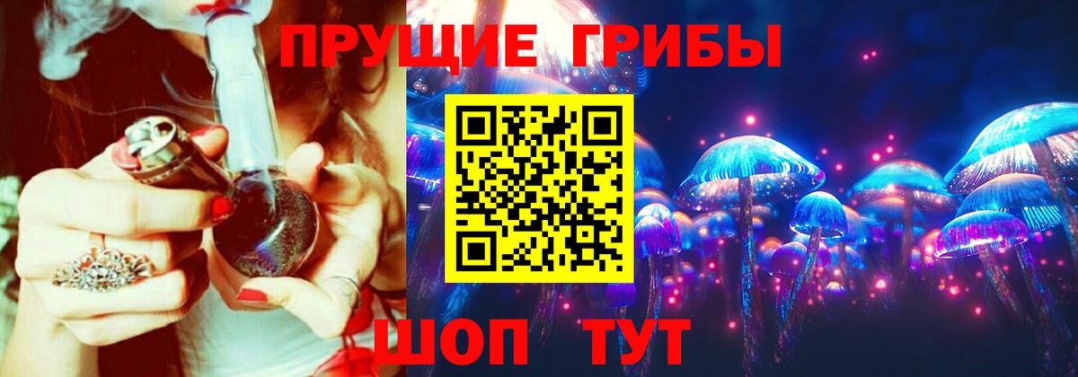 Псилоцибиновые грибы Cubensis Минеральные Воды